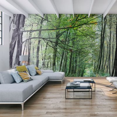 Wallpaper - Forest Wallpaper  - INCREATION