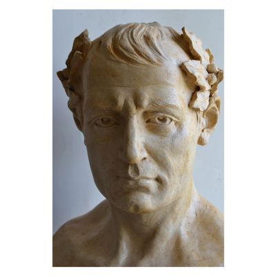 Sculptures, statuettes and miniatures - Bust of Napoleon Bonaparte - TODINI SCULTURE