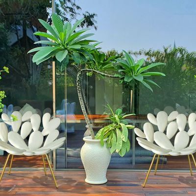 Design objects - FILICUDI - QEEBOO
