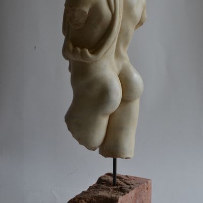 Sculptures, statuettes and miniatures - Male torso with drape - TODINI SCULTURE