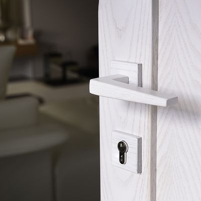 Doorknobs - Artemis Handle - ESSENZA