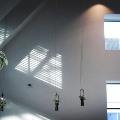 Hanging lights - OXYGEN flower pot hanging lamp in black or white - LUXCAMBRA