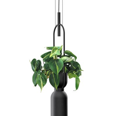 Hanging lights - OXYGEN hanging lamp - LUXCAMBRA