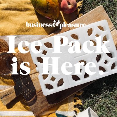 Outdoor decorative accessories - BREEZEBLOCK ICE PACK - BUSINESS & PLEASURE CO.