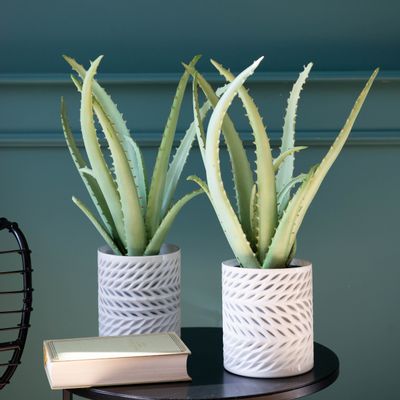 Floral decoration - Aloe - LOU DE CASTELLANE - artificial plants and flowers - LOU DE CASTELLANE