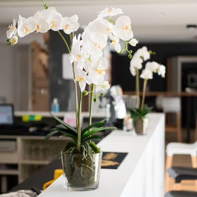 Floral decoration - Orchids - LOU DE CASTELLANE - artificial plants and flowers - LOU DE CASTELLANE