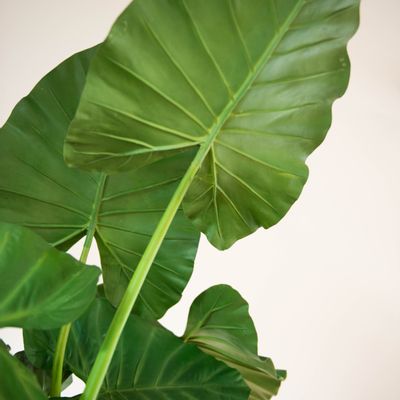 Décorations florales - Colonne et Alocasia - LOU DE CASTELLANE - plantes et fleurs artificielles - LOU DE CASTELLANE
