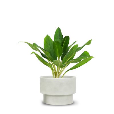 Vases - Loft vase 29x21 cm - VASART