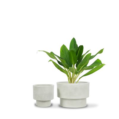 Vases - Vase Loft 18x18 cm. - VASART