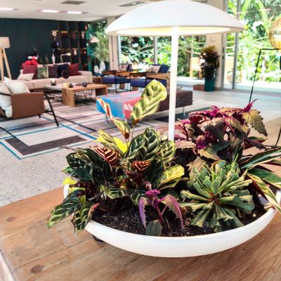 Lampes de bureau  - Abatjour Garden II - GEO LUZ & CÉRAMIQUE