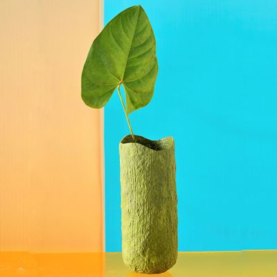 Flatware - Wood Bark Clay Vase - INDIGENOUS