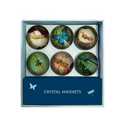 Cadeaux - Aimants en cristal - Tord Boontje - BIEN MOVES