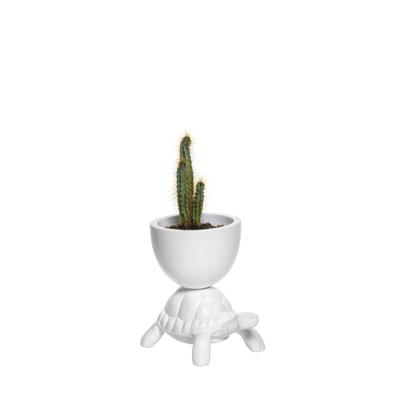 Design objects - TURTLE CARRY XS FAMILY - QEEBOO