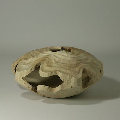 Unique pieces -  Hollow form Carpinus Betulus - STUDIO NICOLA TESSARI