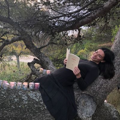 Candles - Scented lanterns - scented candles - ROSE ET MARIUS