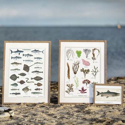 Poster - Nature Posters - KOUSTRUP & CO