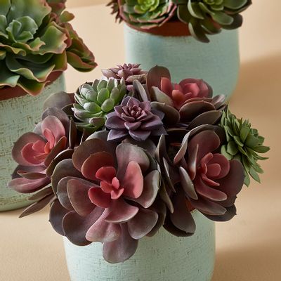 Décorations florales - Succulentes - LOU DE CASTELLANE - plantes et fleurs artificielles - LOU DE CASTELLANE