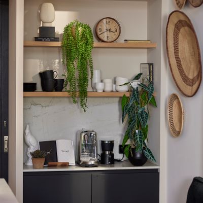 Décorations florales - Plantes artificielles suspendues - EMERALD ETERNAL GREEN BV