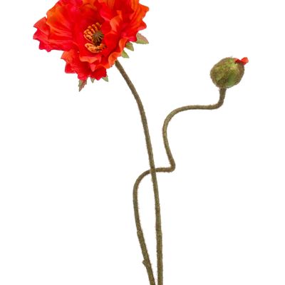 Décorations florales - Collection Fleurs Artificielles - EMERALD ETERNAL GREEN BV