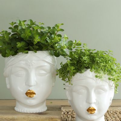 Decorative objects - Green plants in Queen Maxima pot - PLANTOPHILE