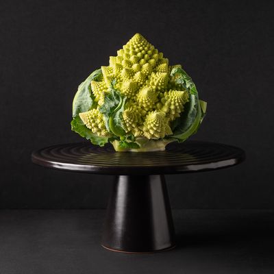 Plats et saladiers - Stand de restauration - Présentation - Petit - DUTCHDELUXES INTERNATIONAL BV