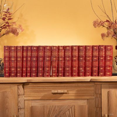 Objets de décoration - Notre collection de livres. - OBJET DE CURIOSITÉ