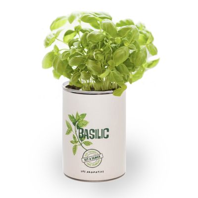 Gifts - Basil seed kit - MAUVAISES GRAINES
