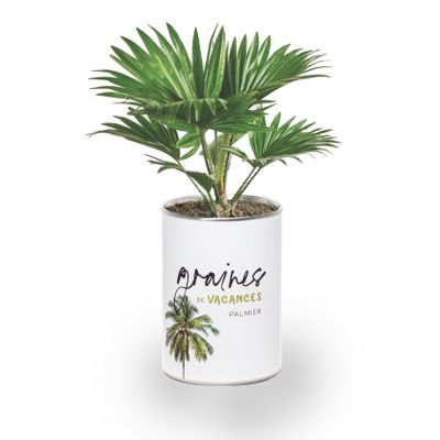 Gifts - Sowing kit\" Vacation seeds\” Made in France - MAUVAISES GRAINES