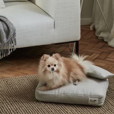 Couettes et oreillers  - HANDMADE DOG BEDS & CUSHIONS FILLED WITH 100% ALPACA FIBRE - MY ALPACA