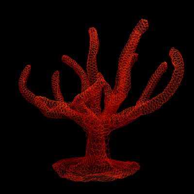 Unique pieces - Aquatic inspiration - Corals - ODILE MOULIN SCULPTURES