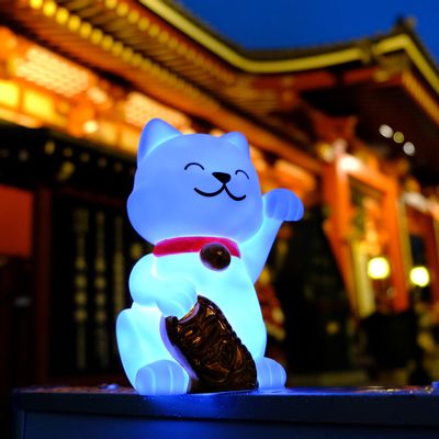 Gifts - Lucky cat Night light - DHINK.EU