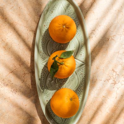 Everyday plates - Imprint Collection - CHABI CHIC