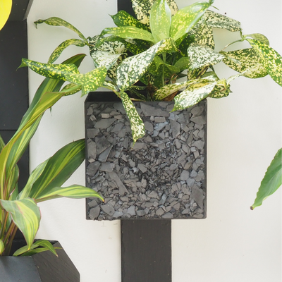 Green walls - RAFA The Travelling Tree Slate Wall Planter - ARDOISE DESIGN