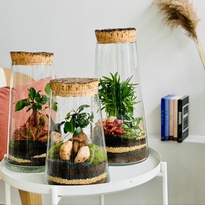 Objets de décoration - FlorMaison - Terrarium - FLOR MAISON