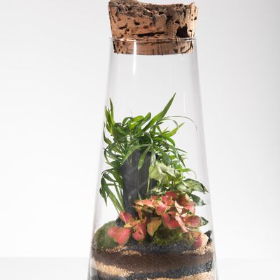 Objets de décoration - FlorMaison - Terrarium - FLOR MAISON