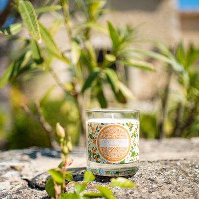 Gifts - Orange Blossom scented candle - CONFIDENCES PROVENCE