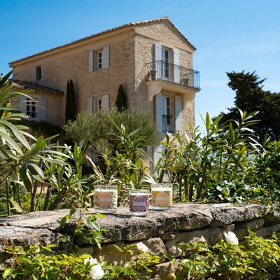 Gifts - Fig fragrance diffuser 200ml - CONFIDENCES PROVENCE