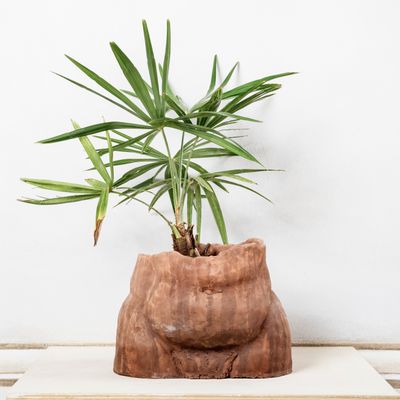 Autres objets connectés  - Antropomorfocene Céramique - XENIA TURCHETTI