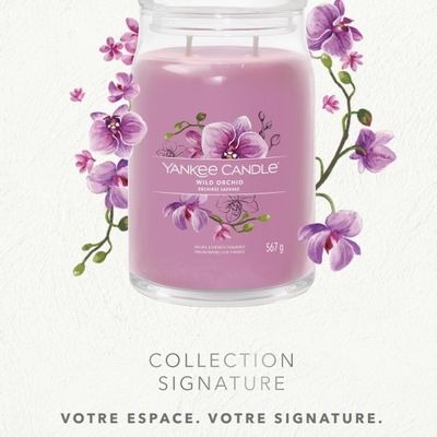 Bougies - Signature Collection Grande Jarre Orchidée Sauvage - YANKEE CANDLE, WOODWICK, CBC