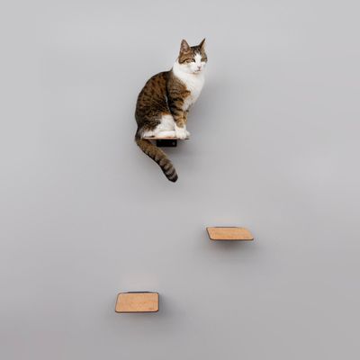 Etagères - STEPS pour chats - Set de 3 - LUCYBALU