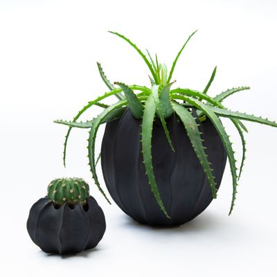 Vases - VAYA black porcelain biscuit vase/pot H=14cm, D=17cm - YLVAYA DESIGN