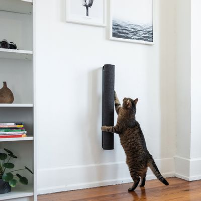 Wall ensembles - CATWALK - wall mounted scratching pole for cats - LUCYBALU