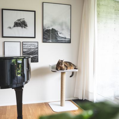 Objets de décoration - PLATEAU - Arbre à chat à gratter et lounge - LUCYBALU