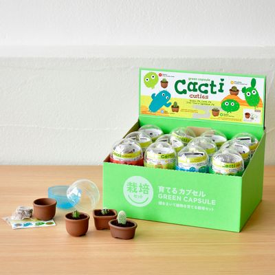 Gifts - Green Capsule | Cacti Cuties - NOTED