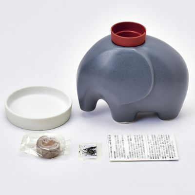 Accessoires de jardinage - Eleplant (Elephant + Plant) - Plante - NOTED