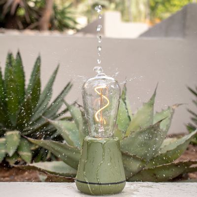 Outdoor decorative accessories - Humble One PET Moss - HUMBLE LIGHTS