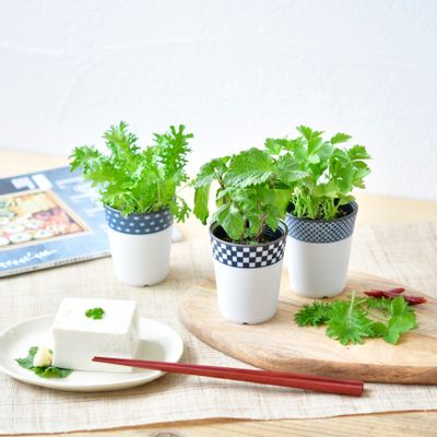 Gifts - Yakumi - De joli pots, saveurs japonaises! - NOTED