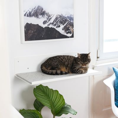Ensembles muraux - STRAIGHT - panneau mural pour chat - LUCYBALU
