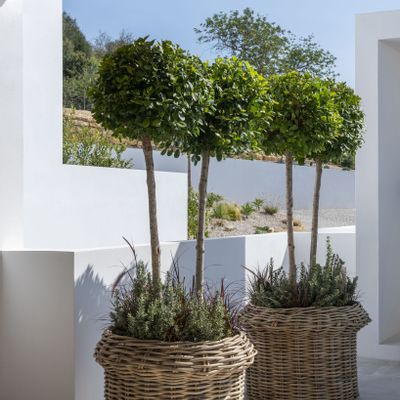 Objets de décoration - Panier de jardinière Hendrik - GOMMAIRE