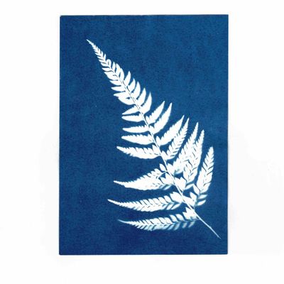 Children's arts and crafts - Sunography - NOTED